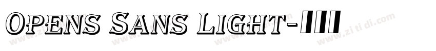 Opens Sans Light字体转换 Opens Sans Light字体转换